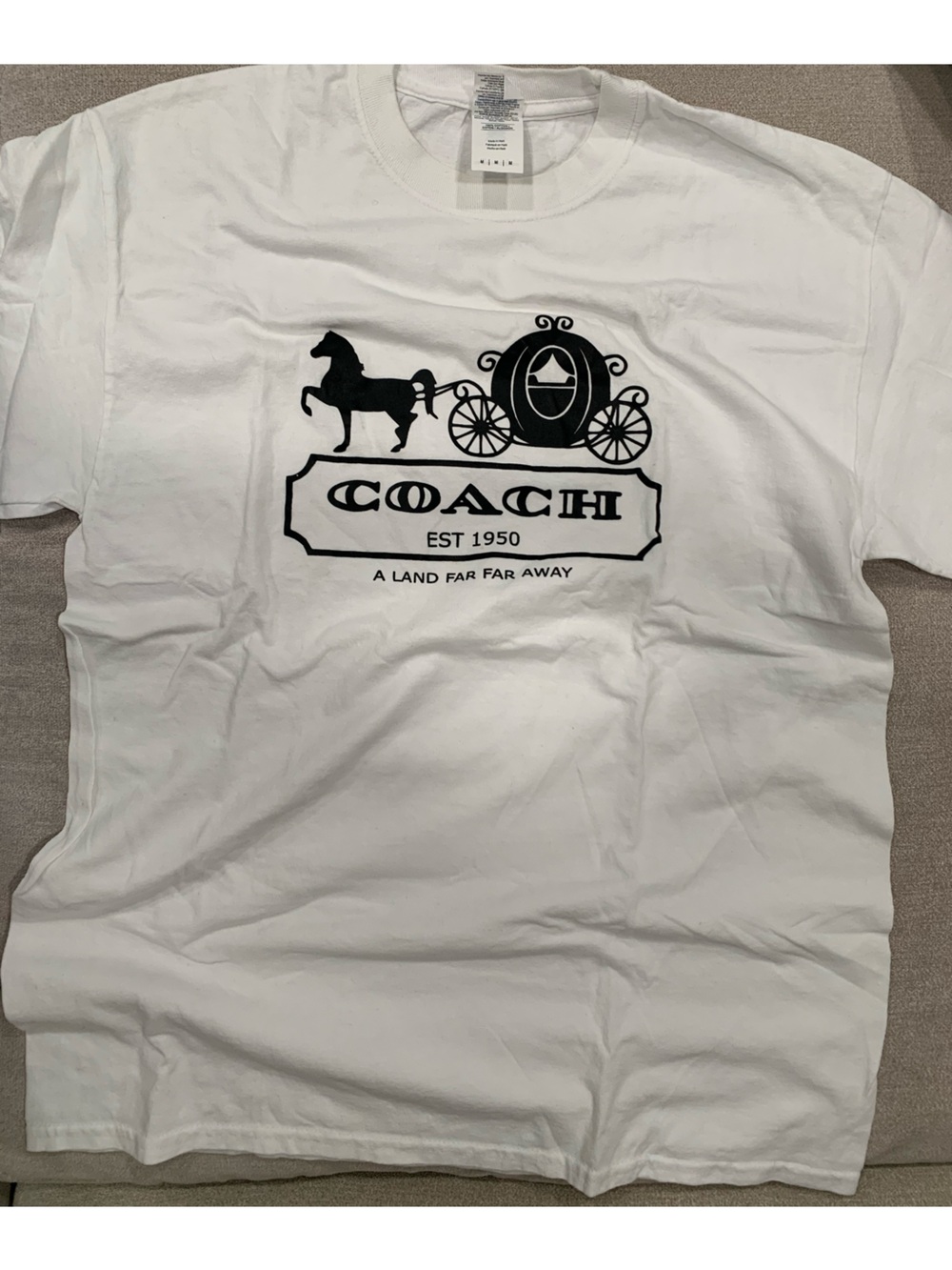 Disneyland Cinderella Coach Parody Crewneck Tee